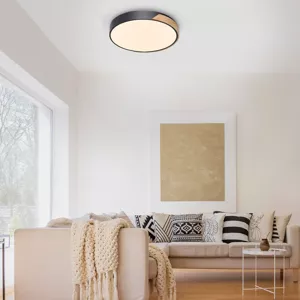 Q-Smart-Home Paul Neuhaus Q-BILA LED stropní světlo, černá/dub