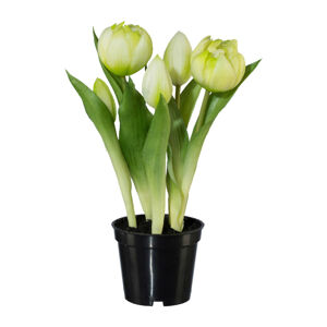 Umělá Rostlina Tulipány, V: 25cm