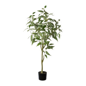 Umělá Rostlina Eukalyptus, V: 120cm