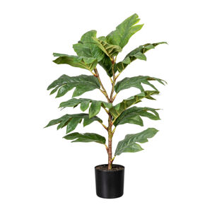 Umělá Rostlina Artocarpus Ii