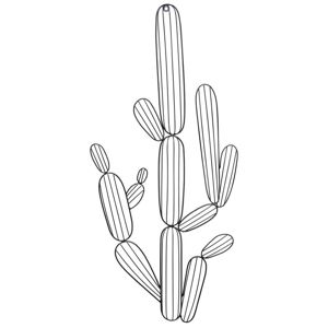 Dekorace Nástěnná Cactus