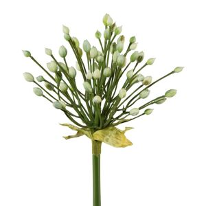 Květina Umělá Allium