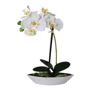 Orchidej 1120030ce-00