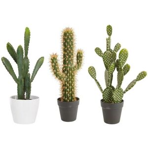Rostlina umělá kaktus
